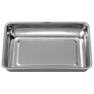 Bandeja Inox Lisa 30x20x4cm